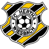 FC Hertha Wiesbach